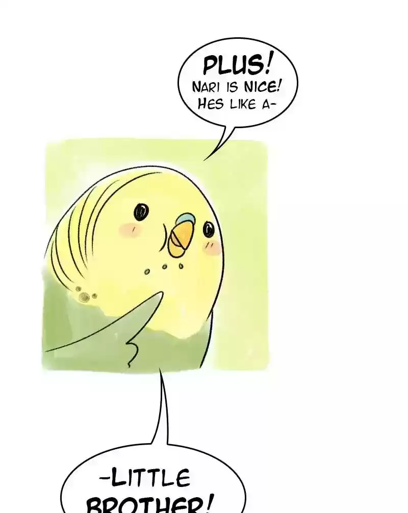 A Budgie's Life Chapter 41: Ep.41: