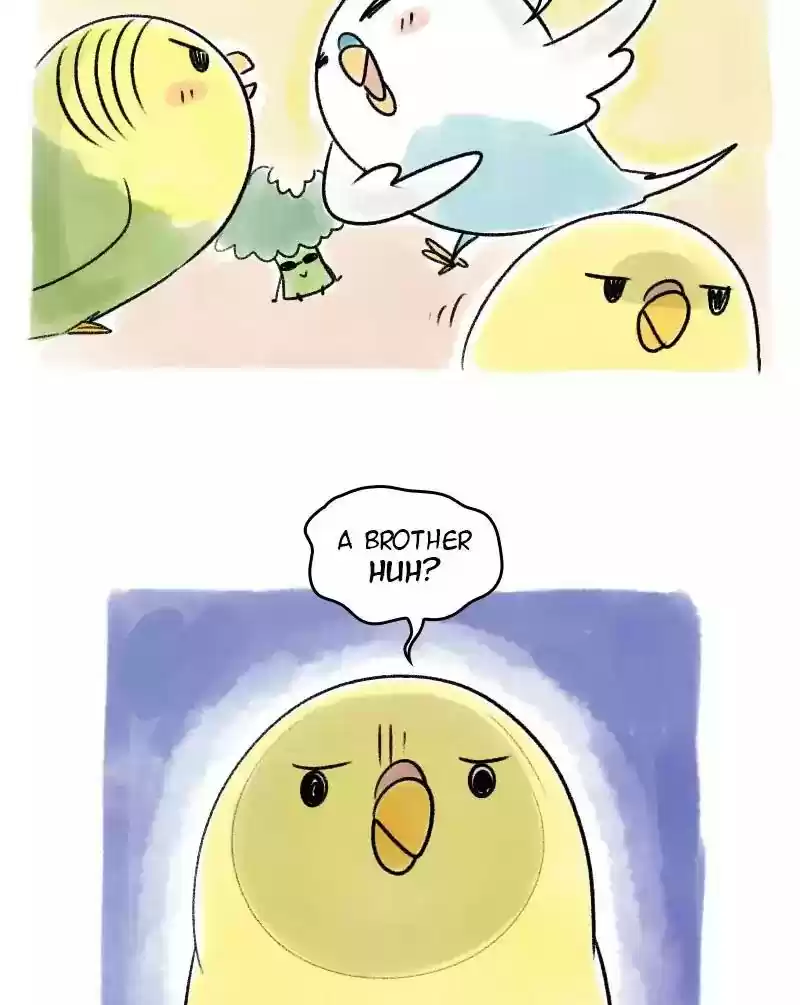 A Budgie's Life Chapter 41: Ep.41: