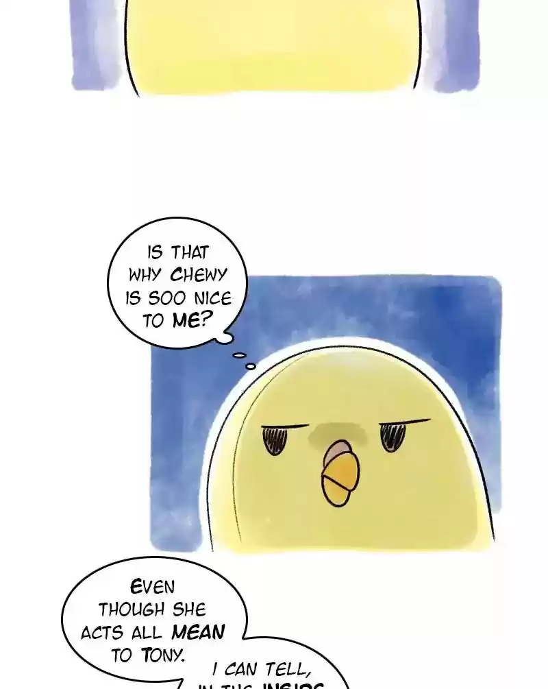 A Budgie's Life Chapter 41: Ep.41: