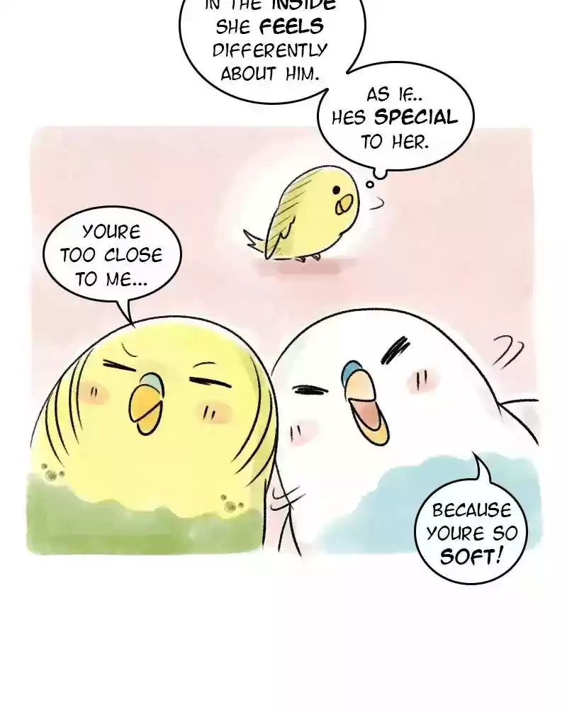 A Budgie's Life Chapter 41: Ep.41: