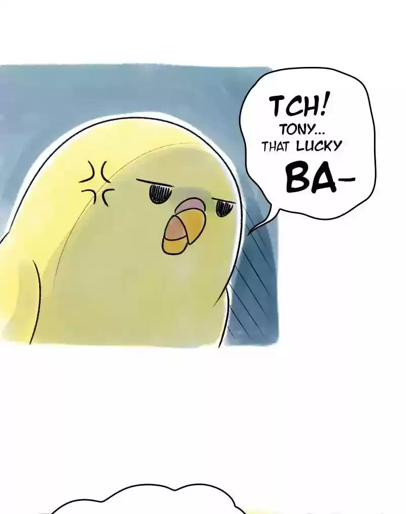 A Budgie's Life Chapter 41: Ep.41:
