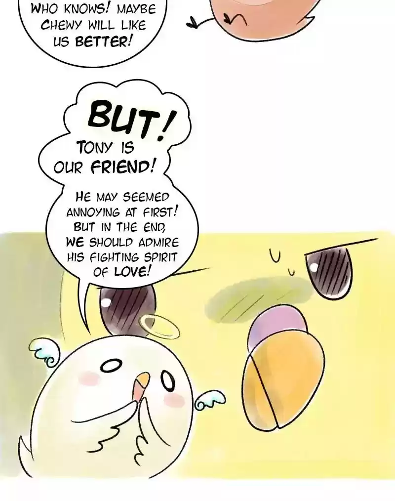 A Budgie's Life Chapter 41: Ep.41: