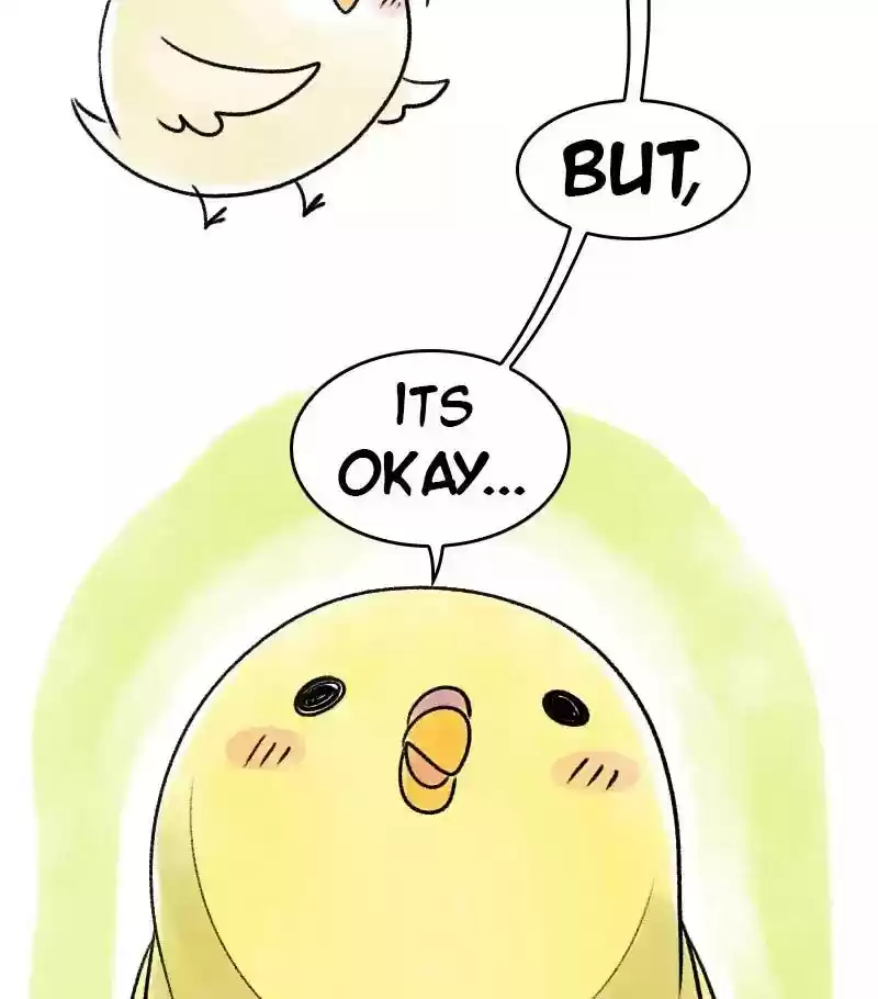 A Budgie's Life Chapter 41: Ep.41: