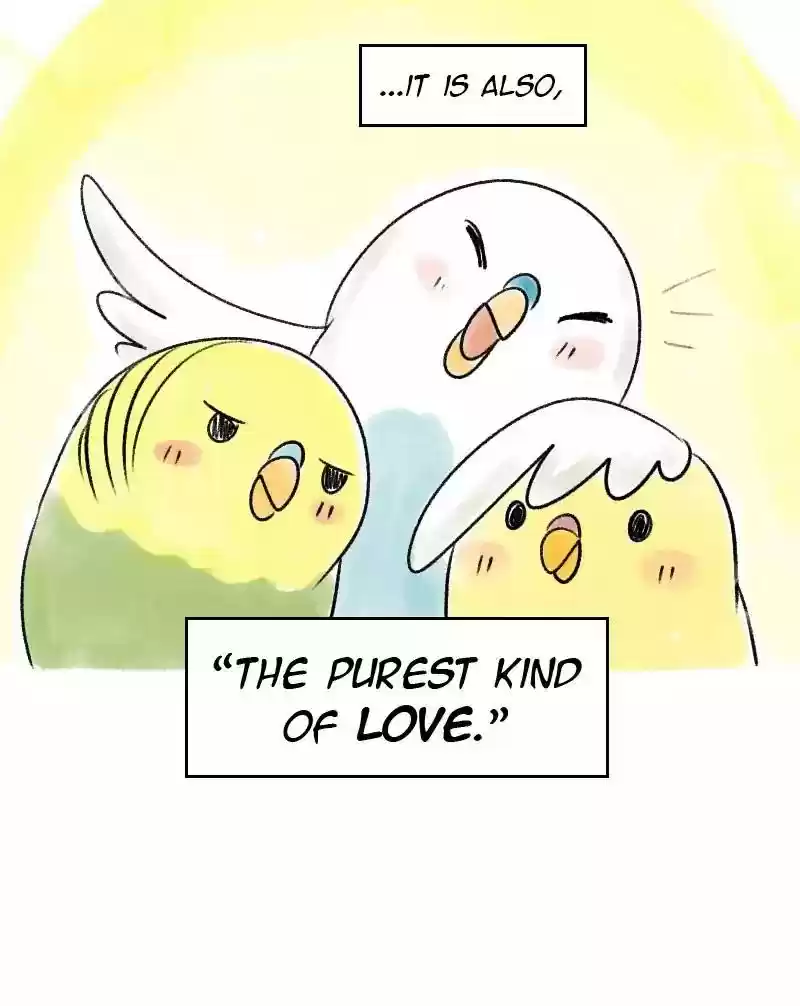 A Budgie's Life Chapter 41: Ep.41: