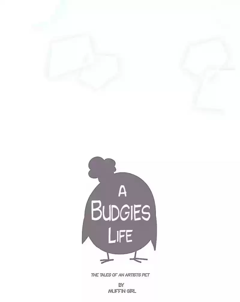 A Budgie's Life Chapter 41: Ep.41: