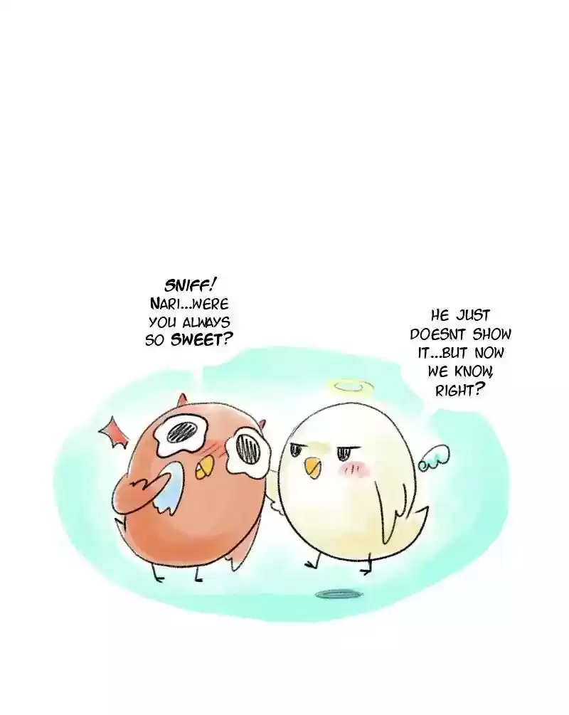 A Budgie's Life Chapter 41: Ep.41: