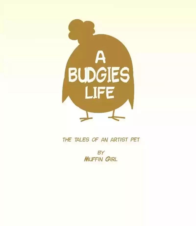 A Budgie's Life Chapter 42: Ep.42:
