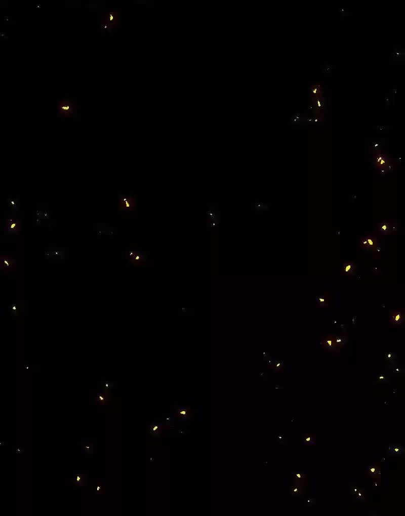 A Budgie's Life Chapter 43: Ep.43: