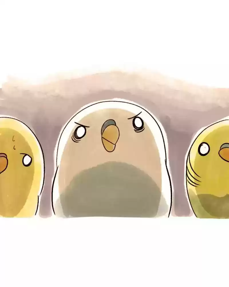 A Budgie's Life Chapter 43: Ep.43: