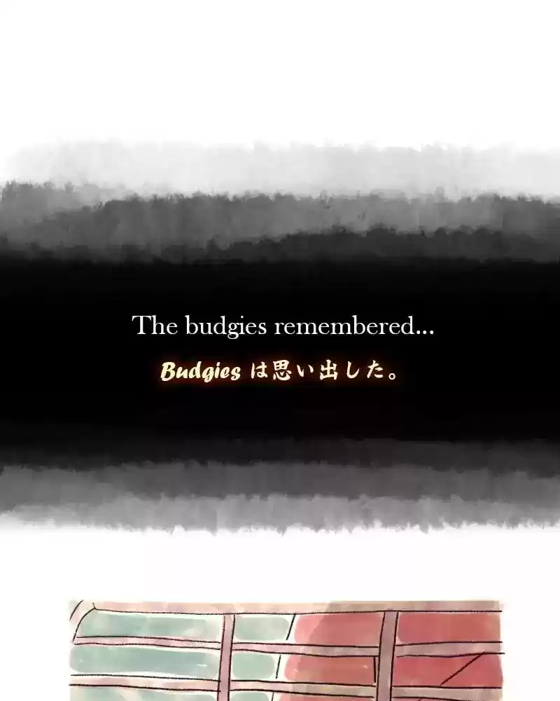 A Budgie's Life Chapter 43: Ep.43:
