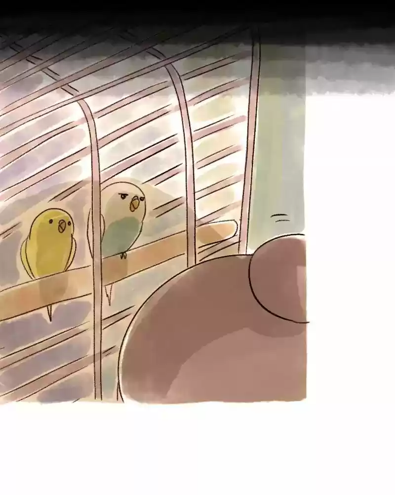 A Budgie's Life Chapter 43: Ep.43: