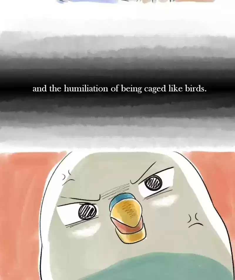 A Budgie's Life Chapter 43: Ep.43: