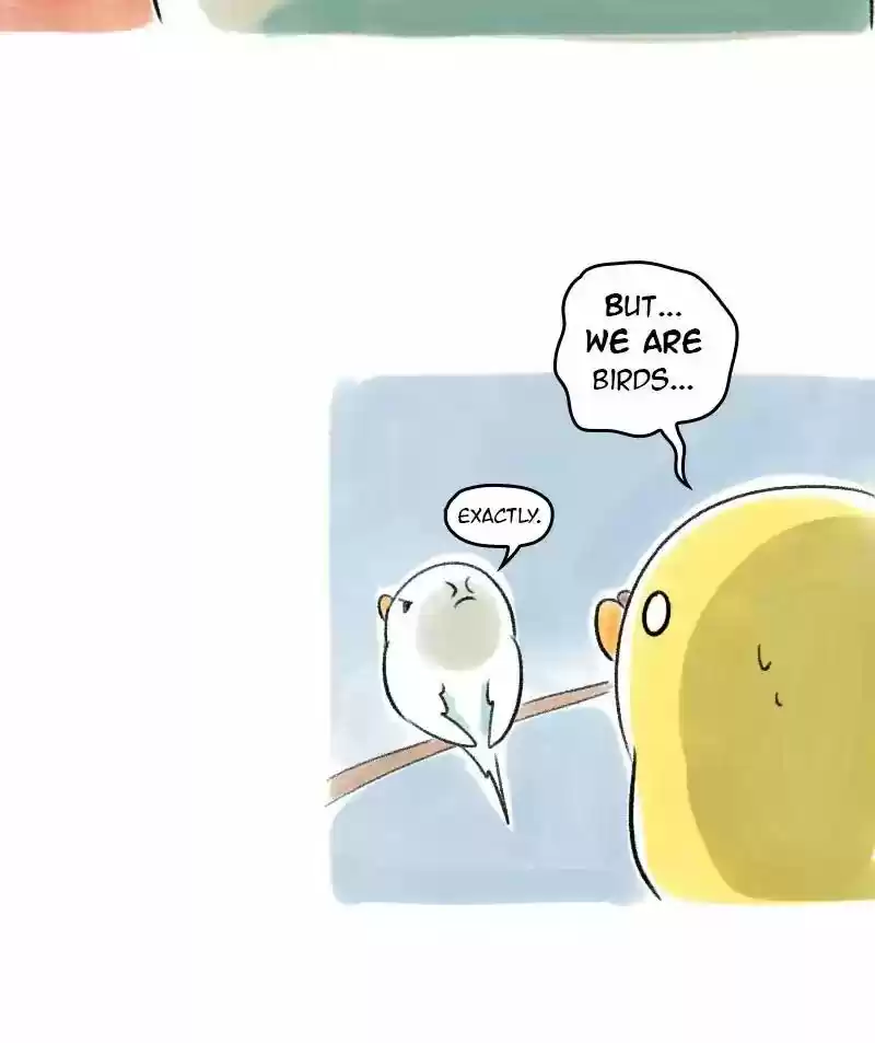 A Budgie's Life Chapter 43: Ep.43: