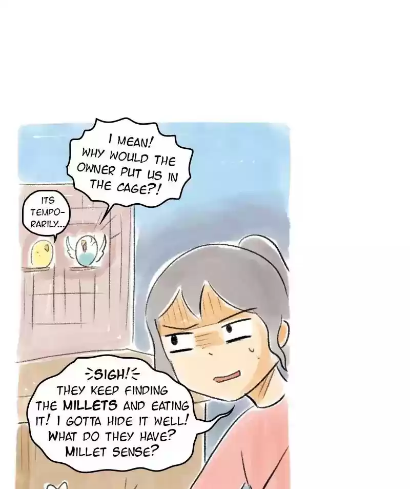 A Budgie's Life Chapter 43: Ep.43: