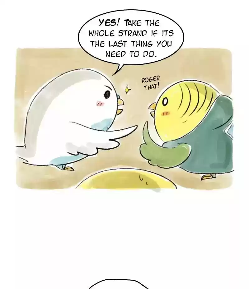 A Budgie's Life Chapter 43: Ep.43: