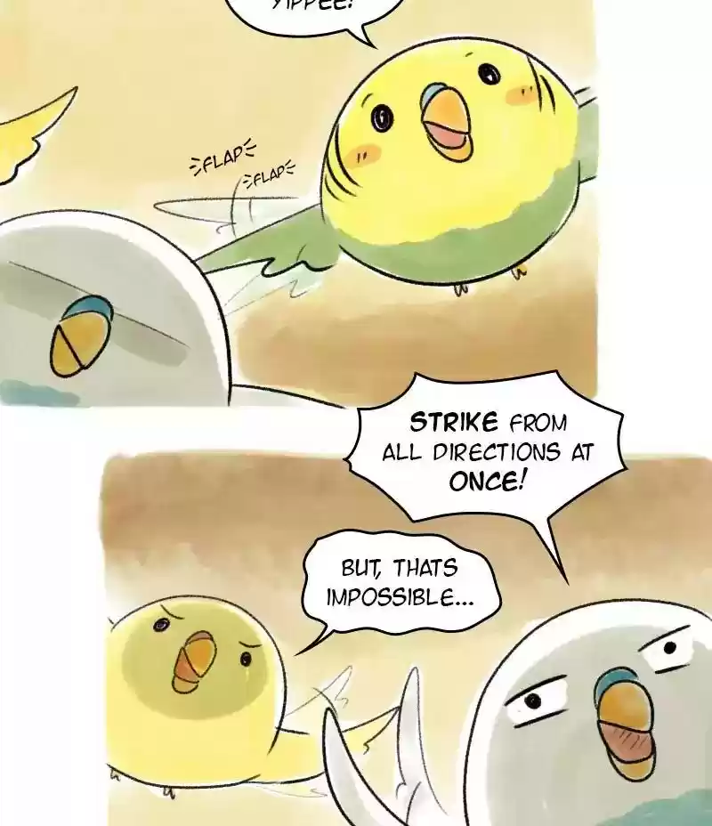 A Budgie's Life Chapter 43: Ep.43: