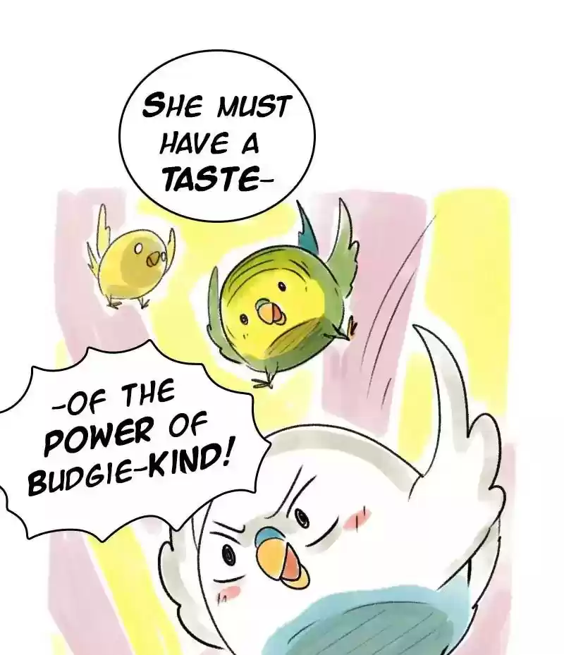 A Budgie's Life Chapter 43: Ep.43: