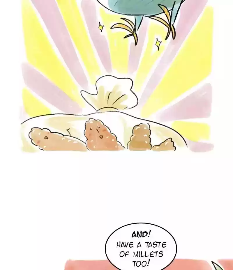 A Budgie's Life Chapter 43: Ep.43: