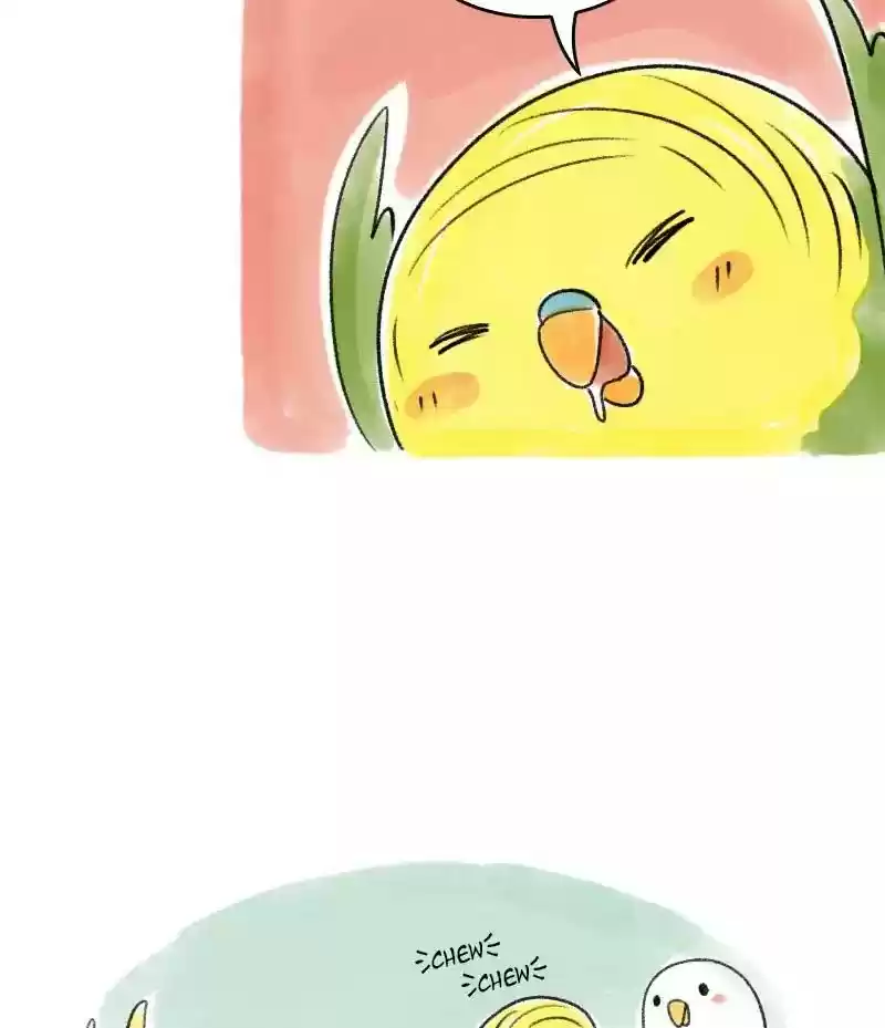 A Budgie's Life Chapter 43: Ep.43: