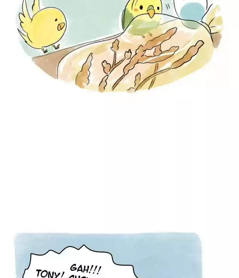A Budgie's Life Chapter 43: Ep.43: