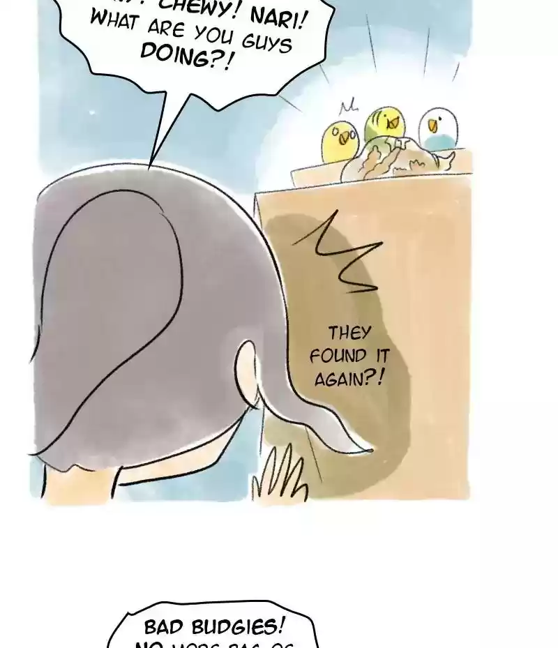 A Budgie's Life Chapter 43: Ep.43: