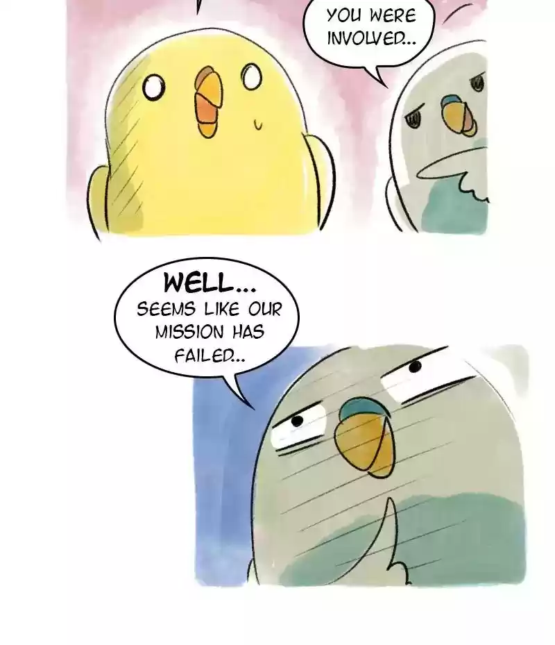 A Budgie's Life Chapter 43: Ep.43: