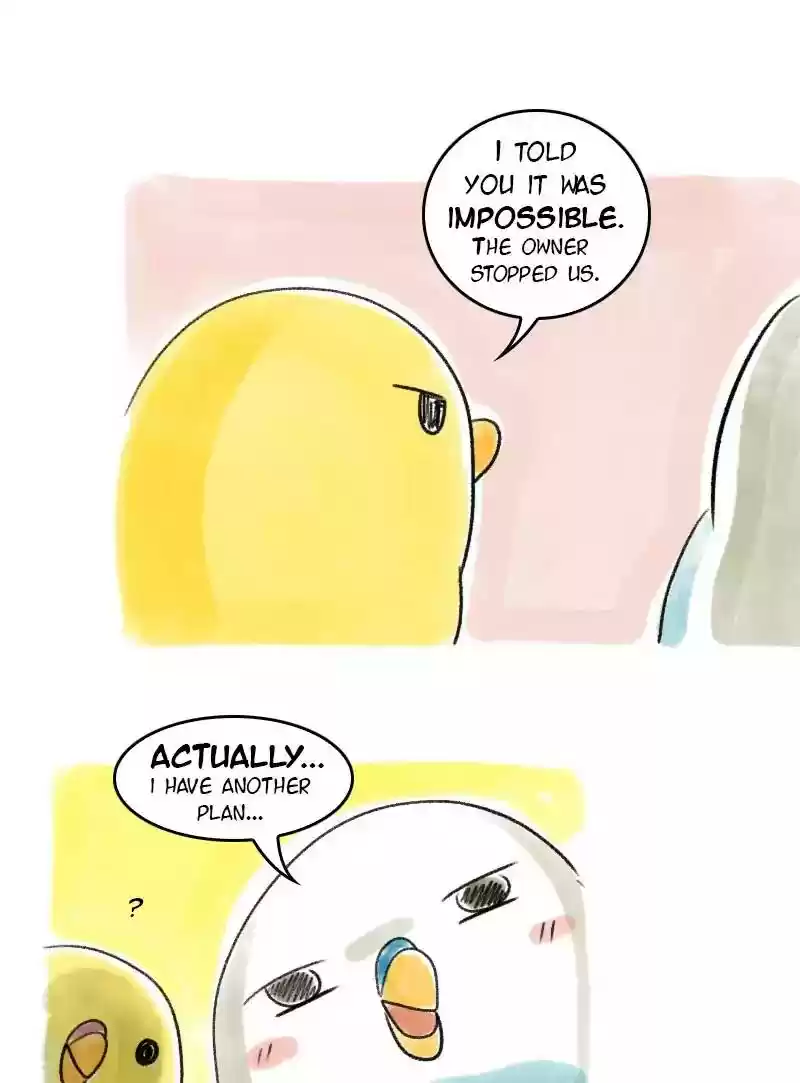 A Budgie's Life Chapter 43: Ep.43: