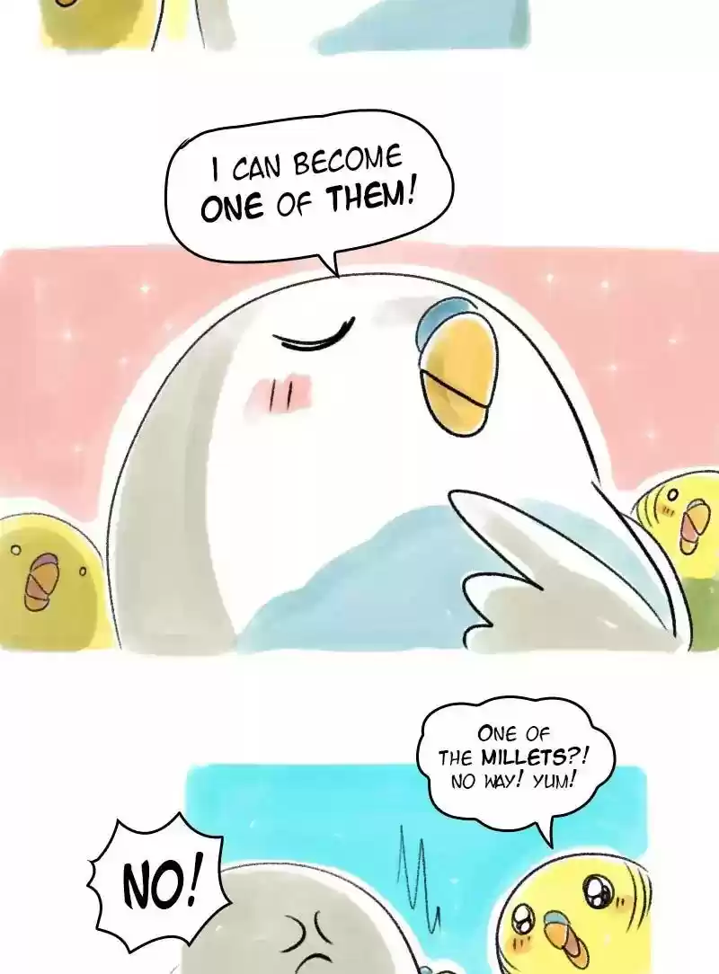 A Budgie's Life Chapter 43: Ep.43: