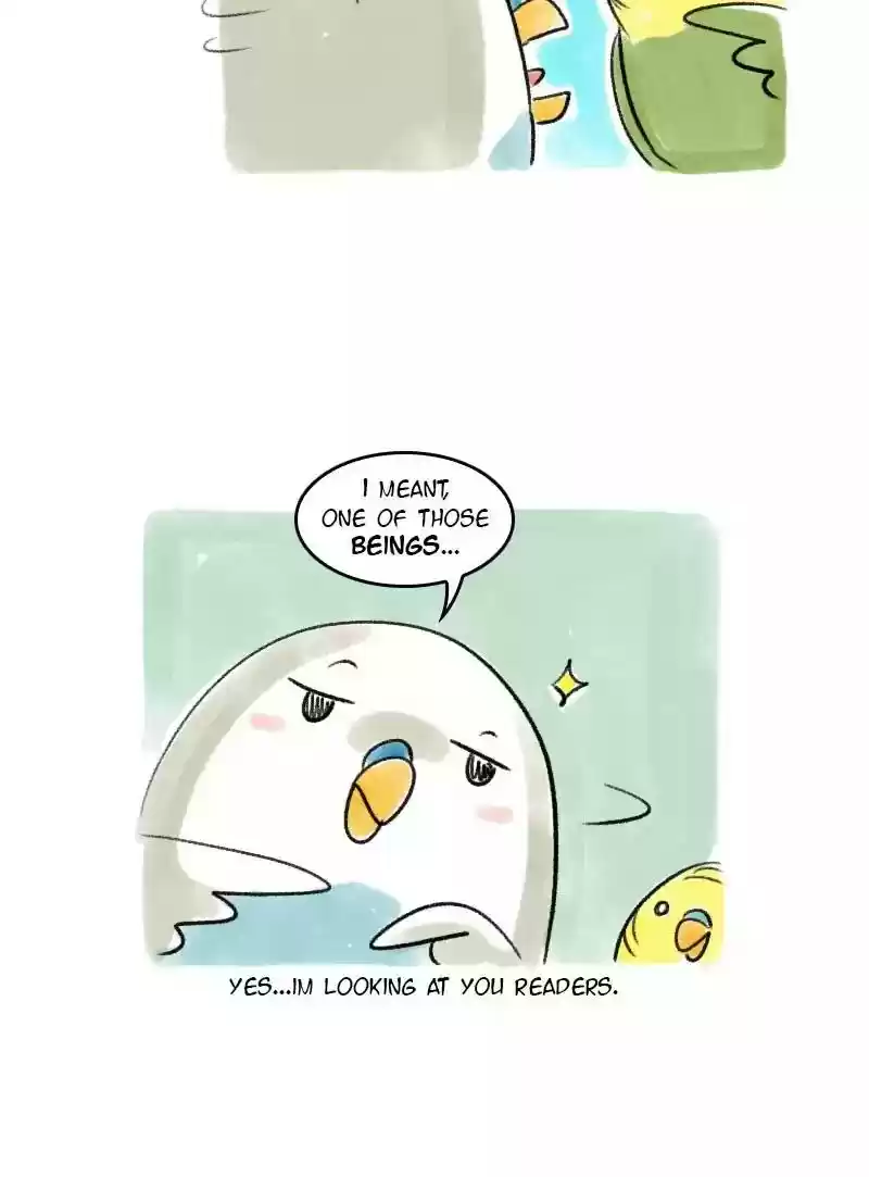 A Budgie's Life Chapter 43: Ep.43: