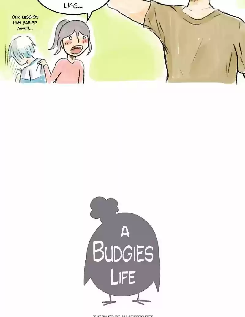 A Budgie's Life Chapter 43: Ep.43: