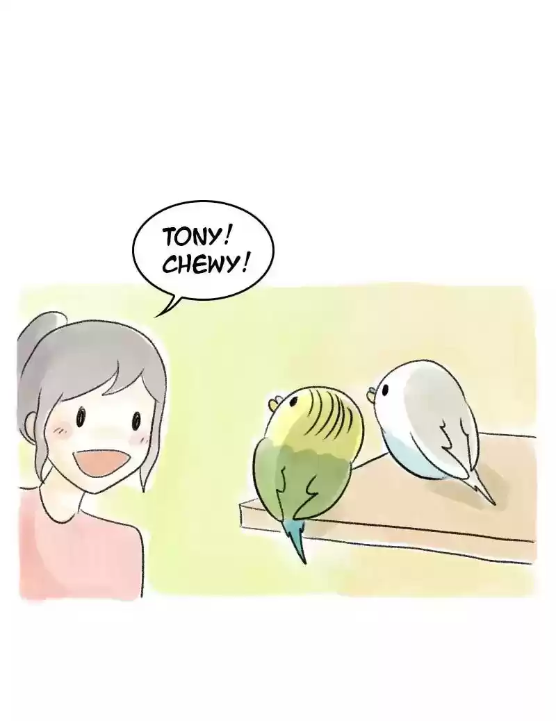 A Budgie's Life Chapter 44: Ep.44: