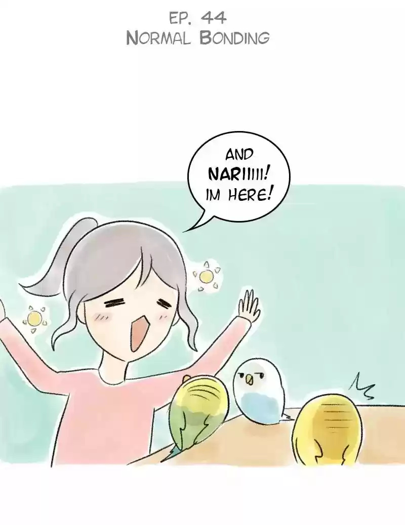 A Budgie's Life Chapter 44: Ep.44: