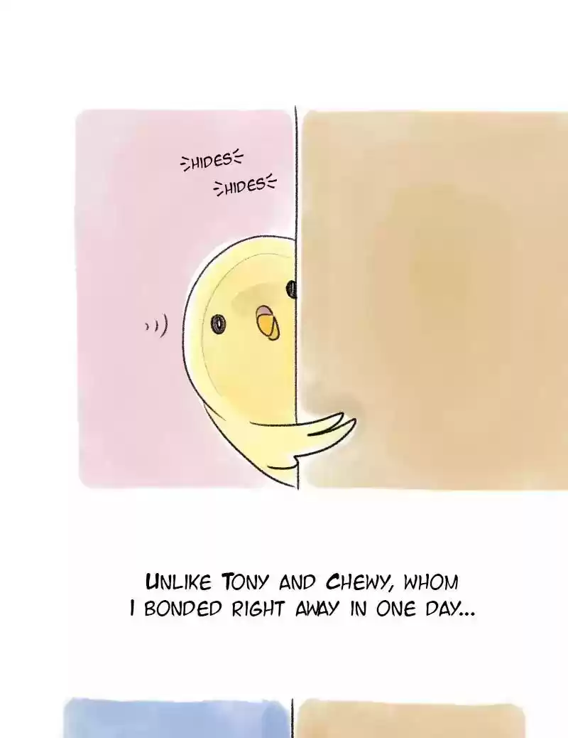 A Budgie's Life Chapter 44: Ep.44: