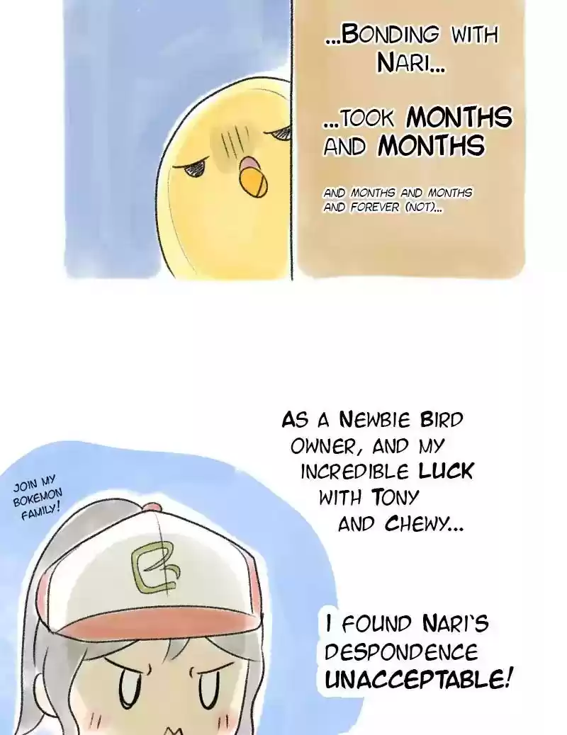 A Budgie's Life Chapter 44: Ep.44: