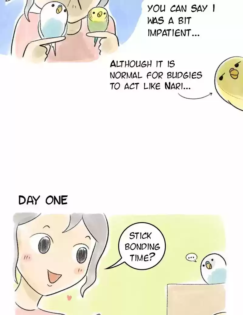 A Budgie's Life Chapter 44: Ep.44: