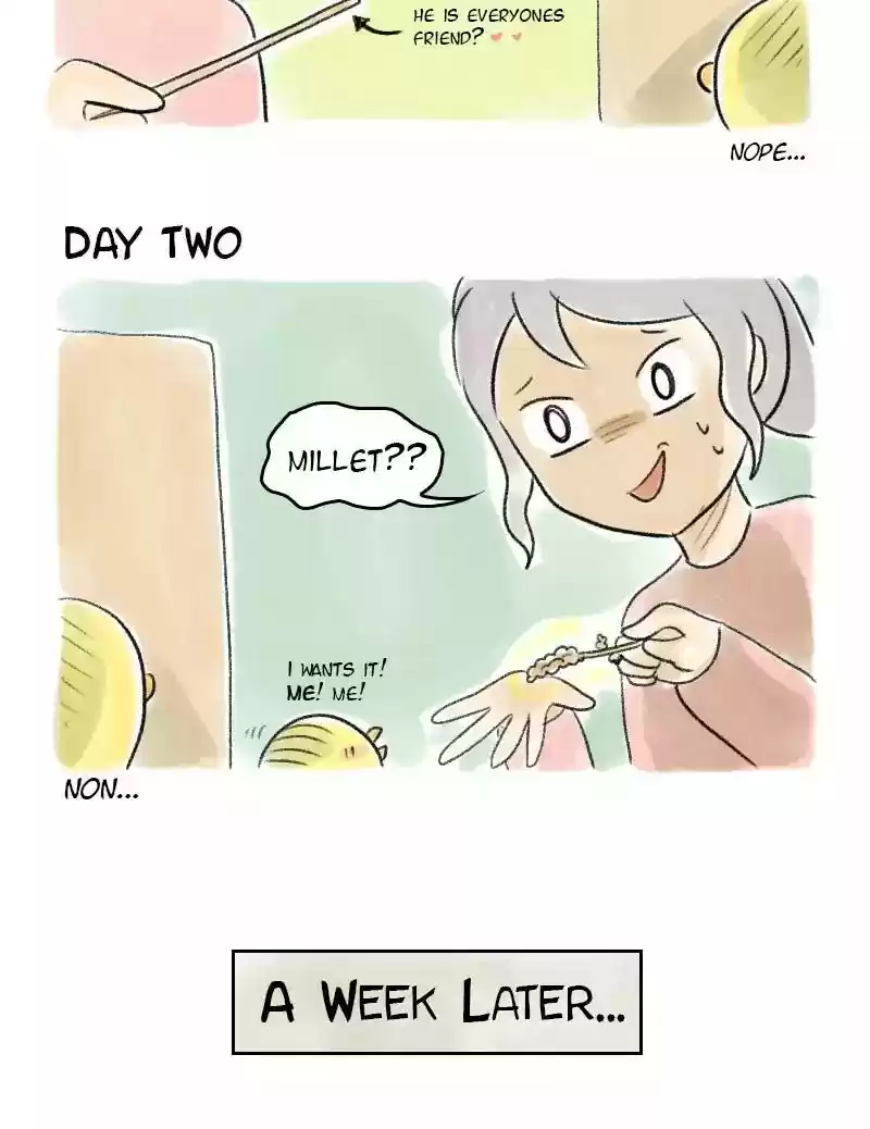 A Budgie's Life Chapter 44: Ep.44: