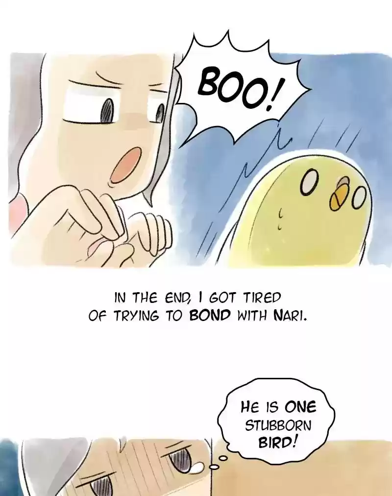 A Budgie's Life Chapter 44: Ep.44: