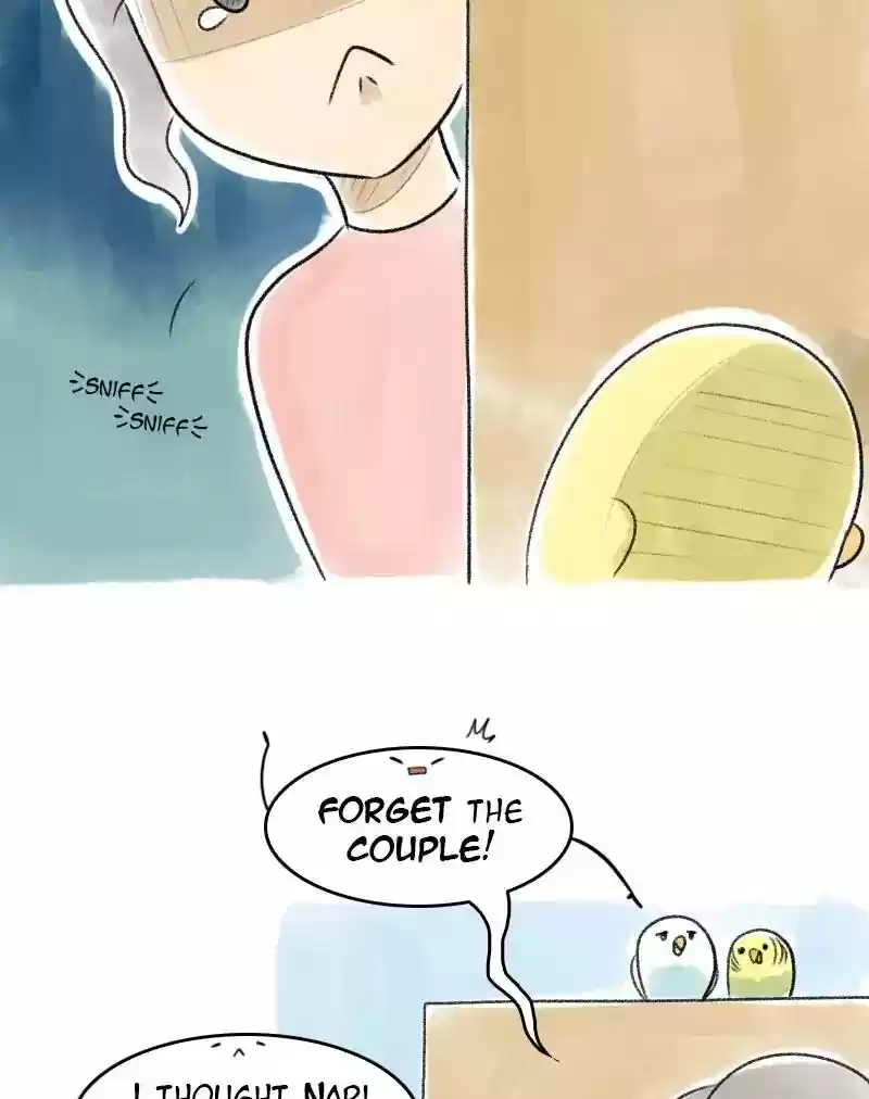 A Budgie's Life Chapter 44: Ep.44: