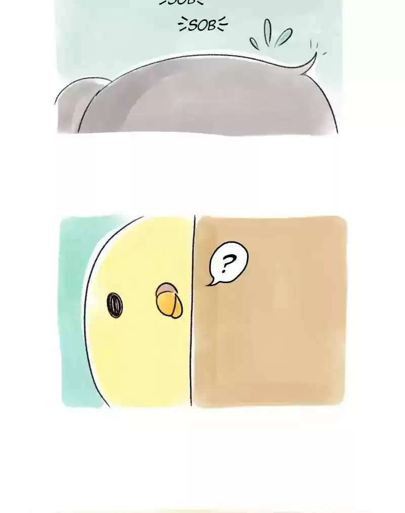 A Budgie's Life Chapter 44: Ep.44:
