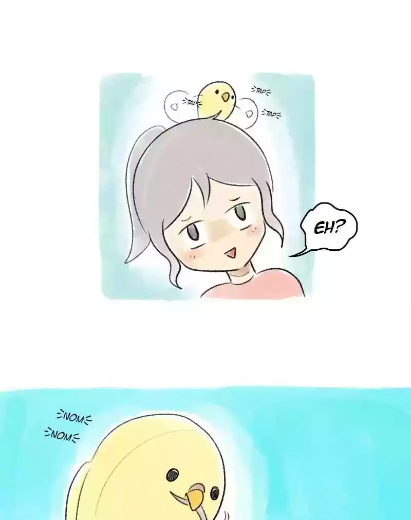 A Budgie's Life Chapter 44: Ep.44: