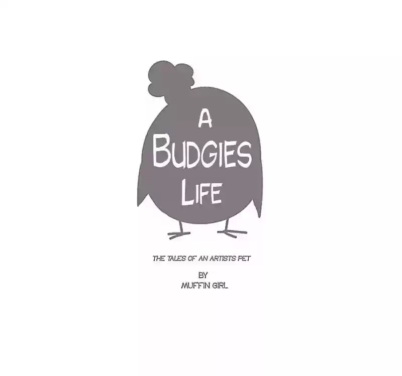 A Budgie's Life Chapter 44: Ep.44: