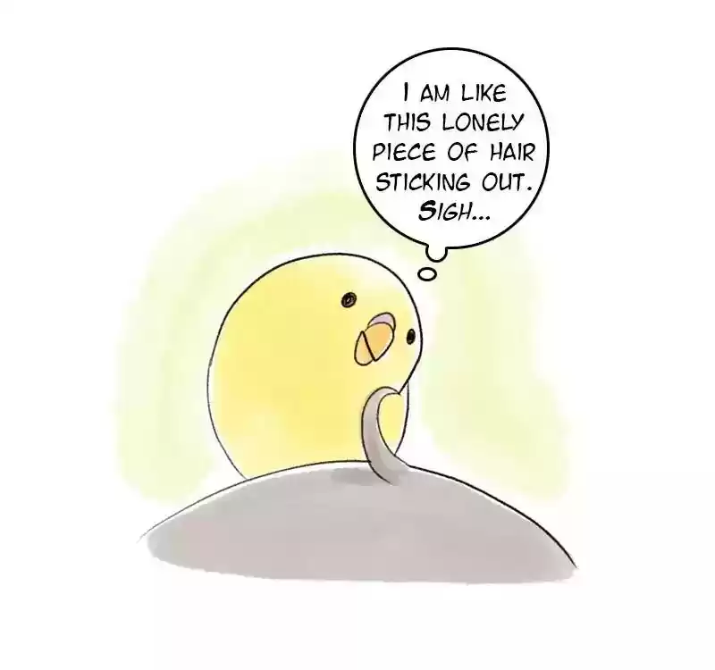A Budgie's Life Chapter 44: Ep.44: