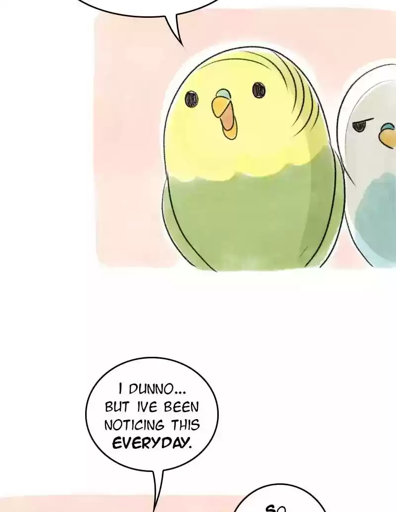 A Budgie's Life Chapter 45: Ep.45: