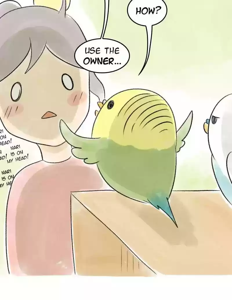 A Budgie's Life Chapter 45: Ep.45: