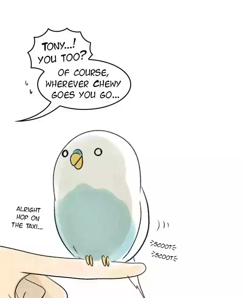 A Budgie's Life Chapter 45: Ep.45: