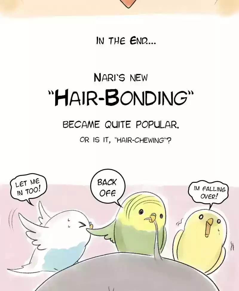 A Budgie's Life Chapter 45: Ep.45: