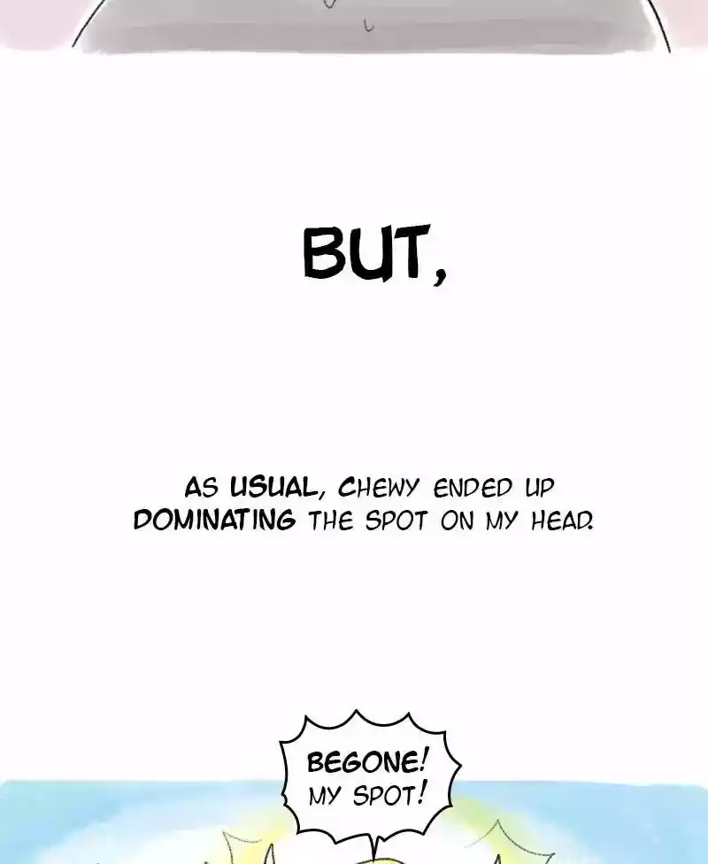 A Budgie's Life Chapter 45: Ep.45: