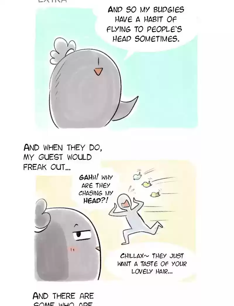 A Budgie's Life Chapter 45: Ep.45: