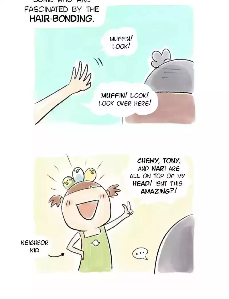 A Budgie's Life Chapter 45: Ep.45: