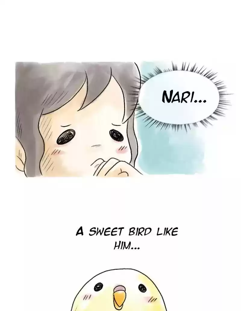 A Budgie's Life Chapter 46: Ep.46: